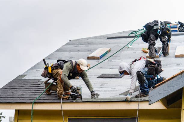 Professional Emergency Roof Repair technician working in West Concord, MN